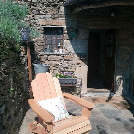 Casa Millin Daire Borzonasca Dış mekan fotoğraf