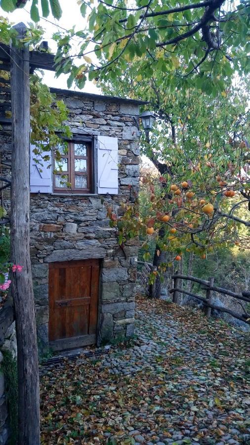 Casa Millin Daire Borzonasca Dış mekan fotoğraf