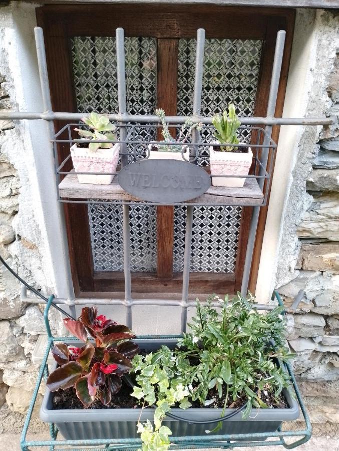 Casa Millin Daire Borzonasca Dış mekan fotoğraf