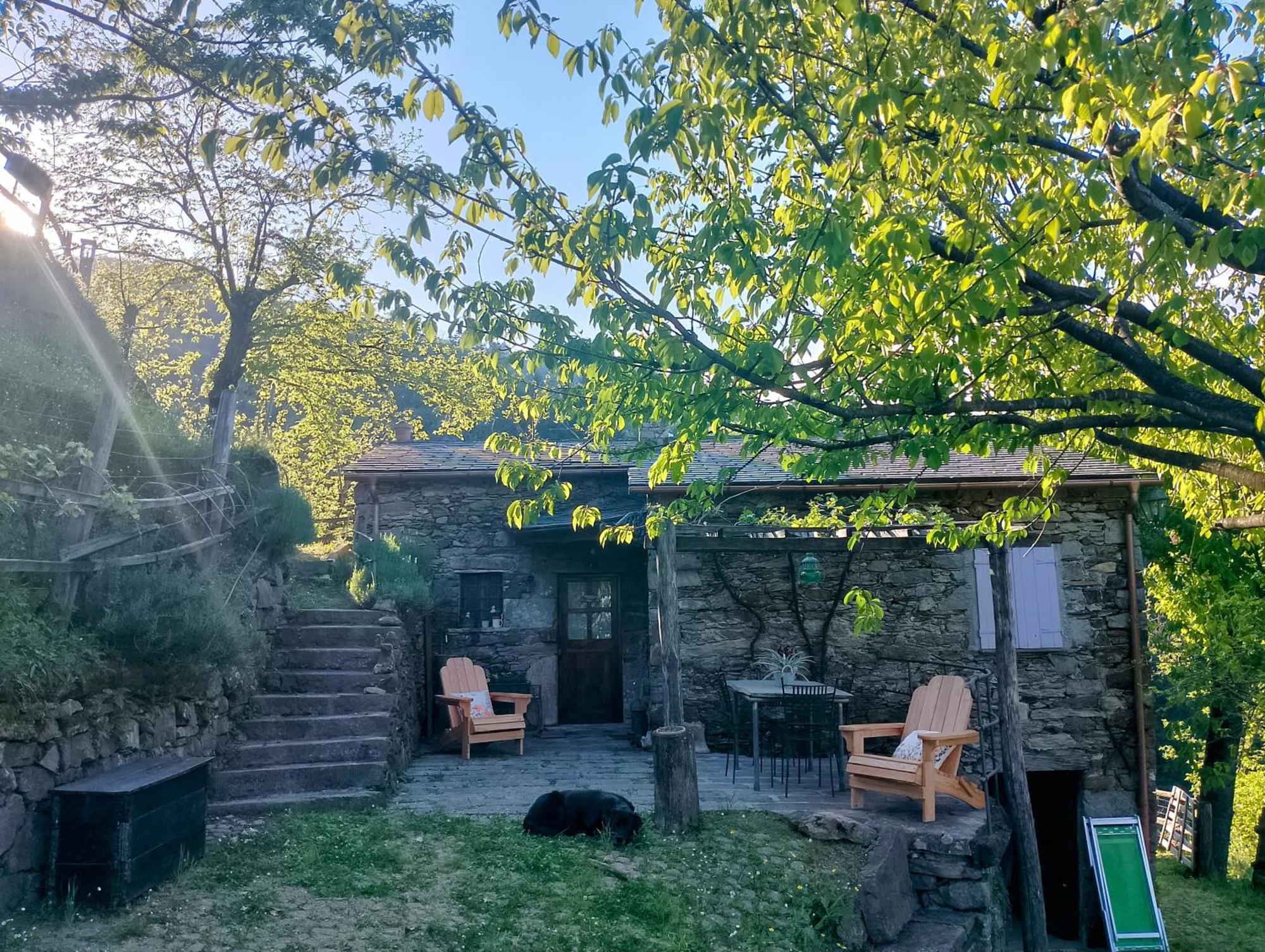 Casa Millin Daire Borzonasca Dış mekan fotoğraf