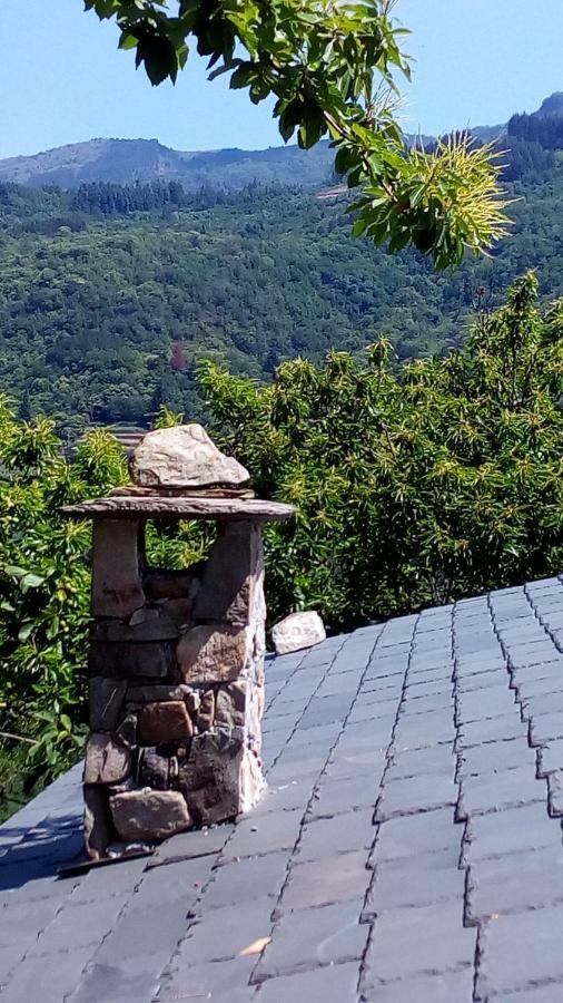 Casa Millin Daire Borzonasca Dış mekan fotoğraf