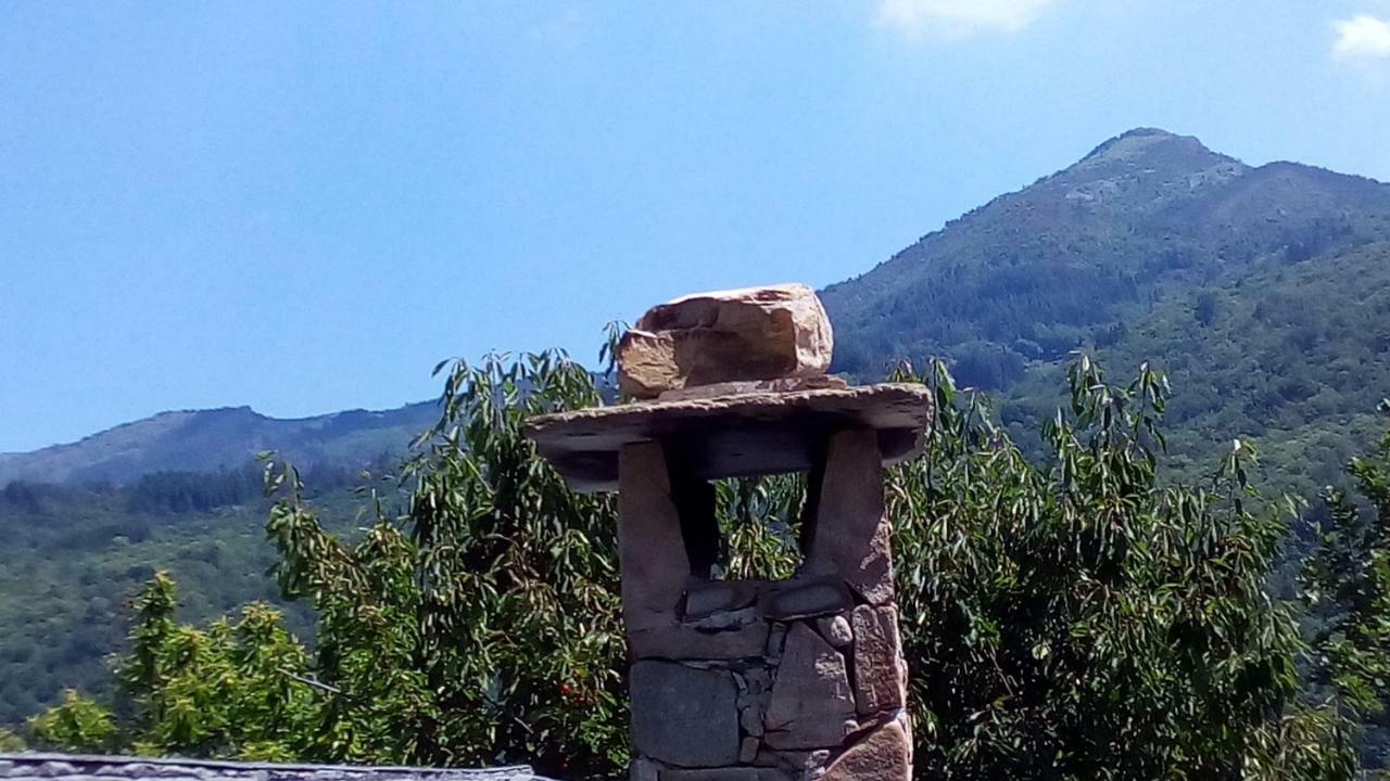 Casa Millin Daire Borzonasca Dış mekan fotoğraf