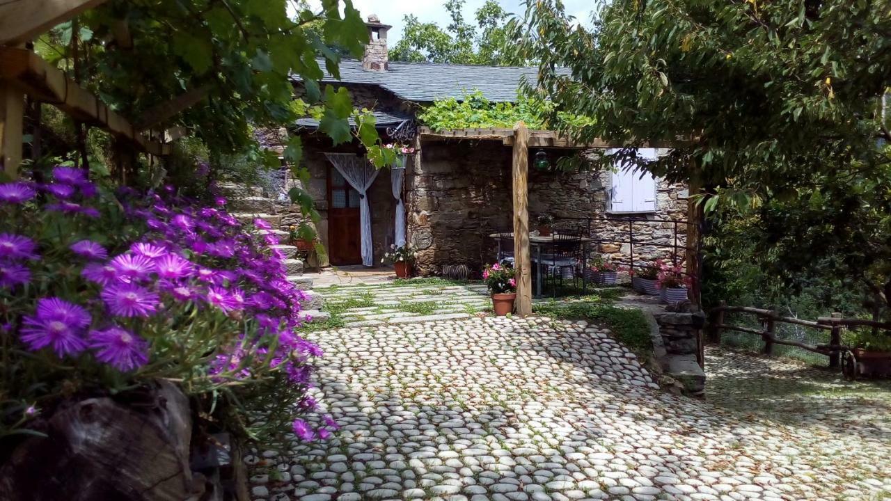 Casa Millin Daire Borzonasca Dış mekan fotoğraf
