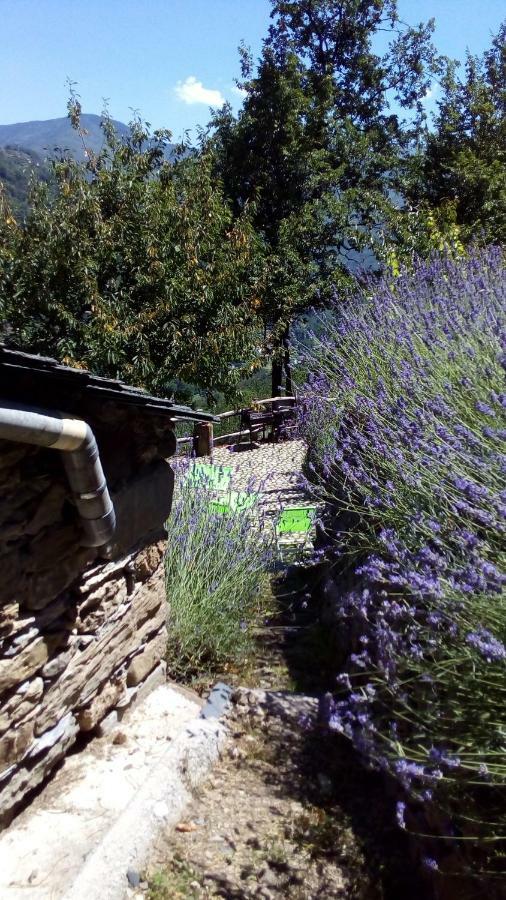 Casa Millin Daire Borzonasca Dış mekan fotoğraf
