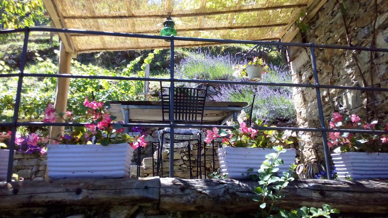 Casa Millin Daire Borzonasca Dış mekan fotoğraf