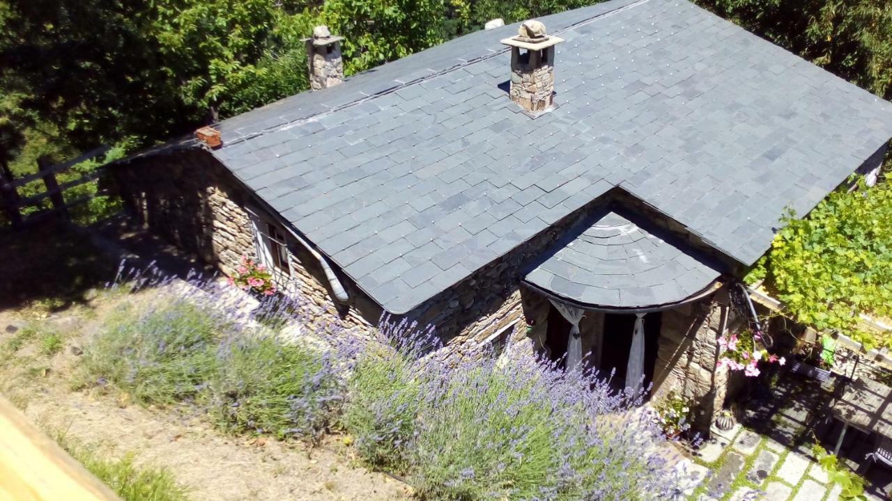 Casa Millin Daire Borzonasca Dış mekan fotoğraf