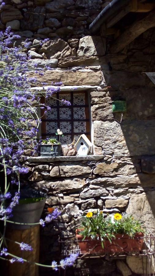 Casa Millin Daire Borzonasca Dış mekan fotoğraf
